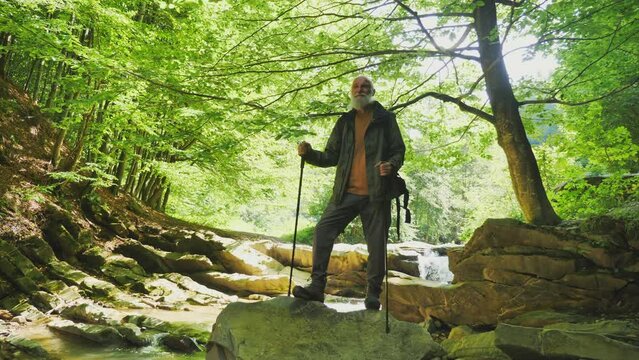 Senior Male Hiker with Backpack and Nordic Walking Poles Standing on a Large Rock Near a Waterfall in the Forest Enjoying Nature Therapy. Active Retirement, Tourism and Hobby Concept.
