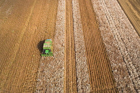Aerial view of a tractor in a field picking cotton, Kibbutz Saar, Mate Asher, Israel.