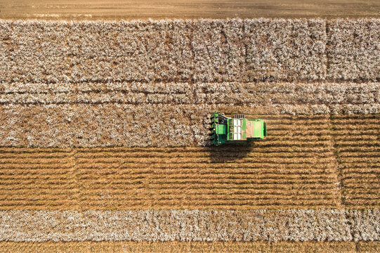 Aerial view of a tractor in a field picking cotton, Kibbutz Saar, Mate Asher, Israel.