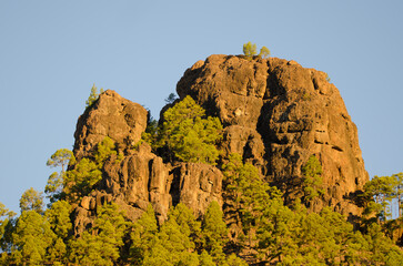 Rocky cliff of the Morro de La Negra. Integral Natural Reserve of Inagua. Tejeda. Gran Canaria. Canary Islands. Spain.