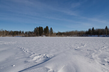 Frozen Astotin Lake in Winter