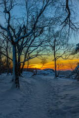 Fototapeta na wymiar View near Tisa village in winter snowy morning before sunrise