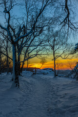 View near Tisa village in winter snowy morning before sunrise