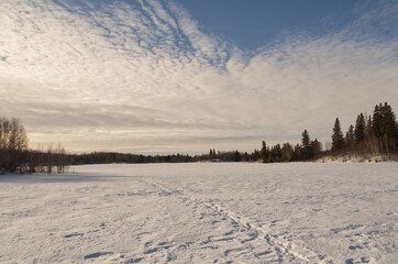 Fototapeta premium Frozen Astotin Lake in Winter