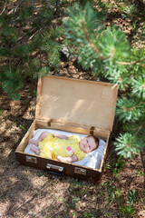 Newborn infant baby is in old suitcase under tree in summer forest