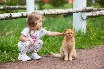 Little Caucasian girl strokes a red cat outdoor