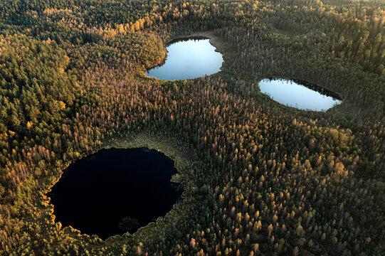 Aerial view of shouting monster face formation from three lakes in Lithuanian forest near Prienai, Lithuania.