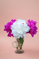 On a beige background, a bouquet of white and pink peonies in a glass. Closeup, vertical format
