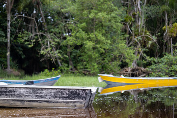paisagem em Rio com floresta e pequenos barcos de pescadores