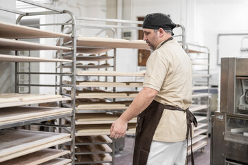 Baker placing tray with formed raw dough on rack trolley ready to bake in the oven. High quality photo