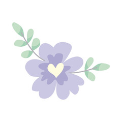 beautiful lilac flower