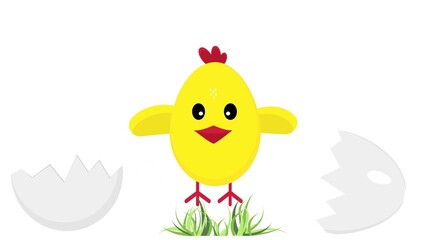 A chicken jumps on the grass. Spring Easter chick. Animation 4k of a tiny spring Easter chicken jumping out of an egg.