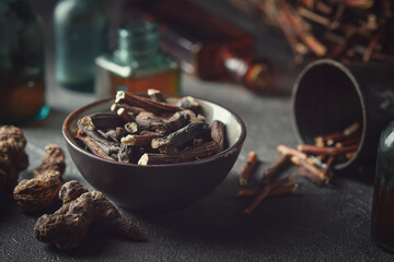 Black bowl of Common comfrey or symphytum officinale roots. Dried comfrey officinalis roots, knitbone and Bistort, Snakeweed. Bottles of infusion and tincture. Alternative herbal medicine.
