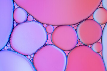 beautiful and bright macro backgrounds
