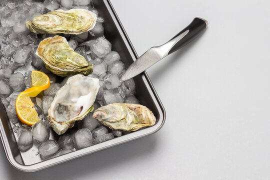 Oysters in shell with ice in tray.