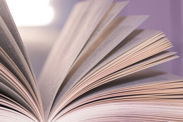 Open book close up pages. Study concept.