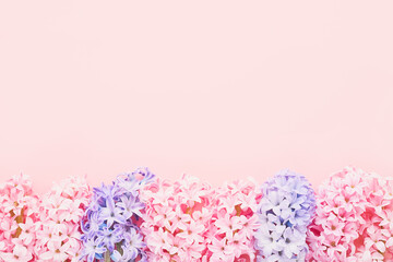 Border of pink and lilac hyacinths on a pink background. Mothers Day, Birthday concept