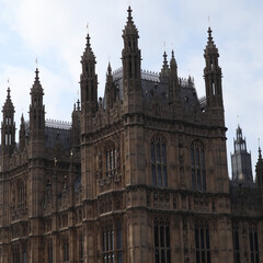 Fototapeta na wymiar Houses of Parliament - Detail of the ornaments 