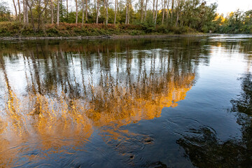 Feuilles et reflets dans la Garonne en automne