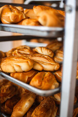 Panes recién salidos del horno