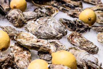 Some oysters in ice with some lemons as a decoration at the fishmarket stall at the foodmarket 