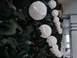 Green wall with small Chinese paper lanterns. House facade design.