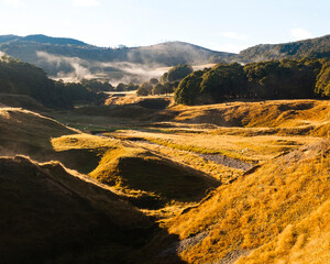 Misty Fields at Sunrise at Canaan Downs Scenic Reserve, Abel Tasman National Park, South Island, New Zealand