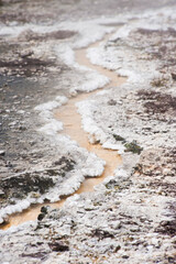 Close Up Photo of a Silica Terrace at Orakei Korako Thermal Park, The Hidden Valley, North Island, New Zealand