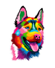 Abstract head portrait of siberian husky from multicolored paints. Puppy muzzle portrait, dog muzzle. Colored drawing. Vector illustration of paints © Liliia