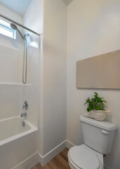 Vertical Interior of a white bathroom with indoor plants and window