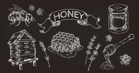 Honey  hand drawn set with honeycombs, bee, jar hive and flowers on chalkboard. Isolated vector.