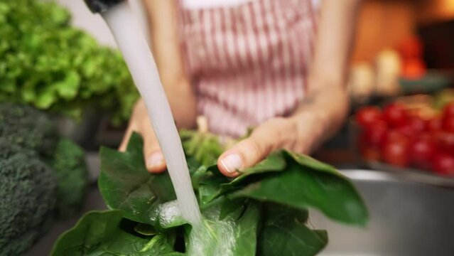 Hands washing spinach. Slow motion shot. High quality 4k footage