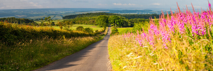 Fototapeta na wymiar Country road in Northumberland National Park, near Hexham, England, United Kingdom, Europe