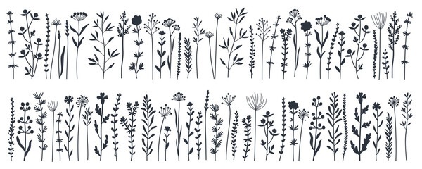 Black silhouettes garden and wild foliage, flowers, branches vector illustration. Wildflowers, herbs. Creative vector floral elements for postcard decoration packaging. Wild meadow herbs, flowers
