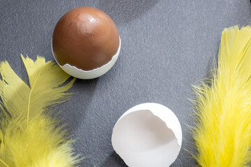 Traditional Finnish foods - Chocolate easter egg with nougat filling molded in authentic eggshell.