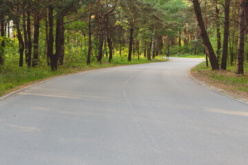 Fototapeta na wymiar Road in the forest, park, bicycle and pedestrian route with asphalt
