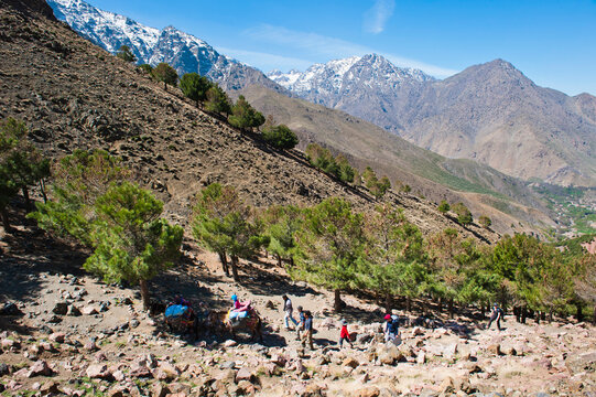 Photo of tourists trekking in the Imlil valley on their way up Tizi n Tamatert, High Atlas Mountains, Morocco, North Africa, Africa
