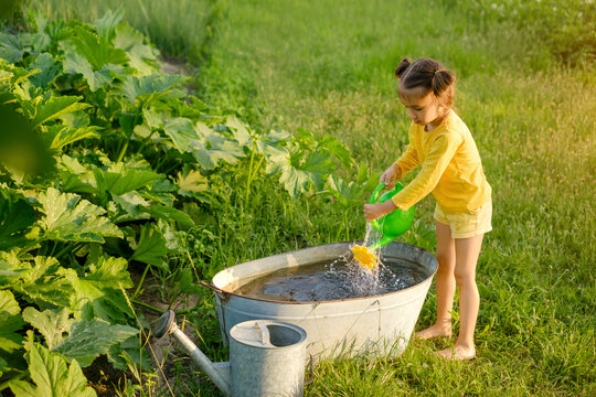 A girl draws water into a toy watering can to water zucchini and pumpkins growing in the kitchen garden. A barefoot child in the village garden. Unity with nature. Walking barefoot, without shoes