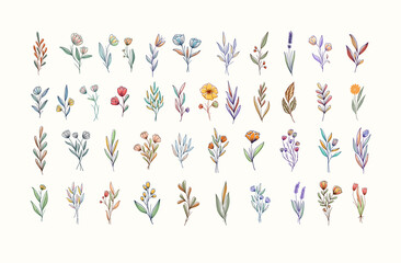 Beautiful hand drawn colorful botanical flowers collection
