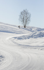 Fototapeta na wymiar landscape with snow and skier