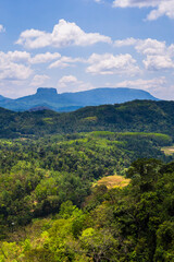 Fototapeta na wymiar Bible Rock, near Kandy in the Sri Lanka Central Province aka Sri Lanka Highlands or Sri Lanka Hill Country, Asia