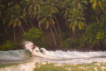 Mirissa Beach, surfer surfing at sunset, South Coast of Sri Lanka, Southern Province, Asia