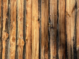 Natural wood texture background.