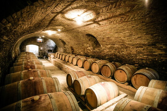 Barolo, Italy - October 2016: Historic wine cellar in Langhe (Piedmont, Italy) with many barriques and slavonian oak barrels for the aging of red wine