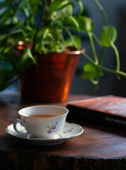 hot tea, plants and a good book