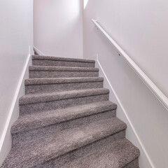 Square Carpeted stairs with wall-mounted white handrailing upstairs