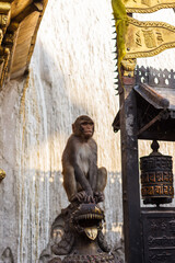 A monkey sits on a statue in Swayambhunath, Nepal © lindely