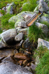 rocks in the forest