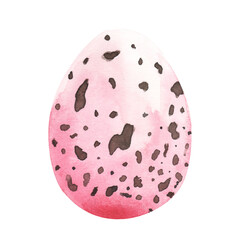 Easter eggs watercolor illustration creative hand drawn chicken