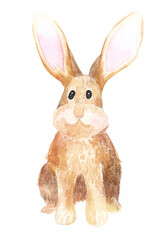 Easter bunny watercolor illustration cute beige. Big ears, nice rabbit hand drawn